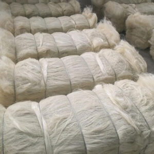 Sisal Fiber